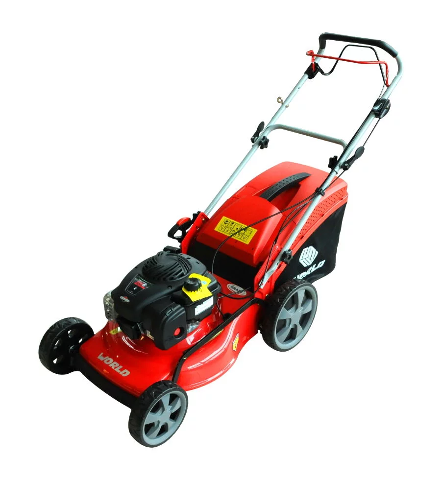 b6c125060f9cb463147d469838b51c81