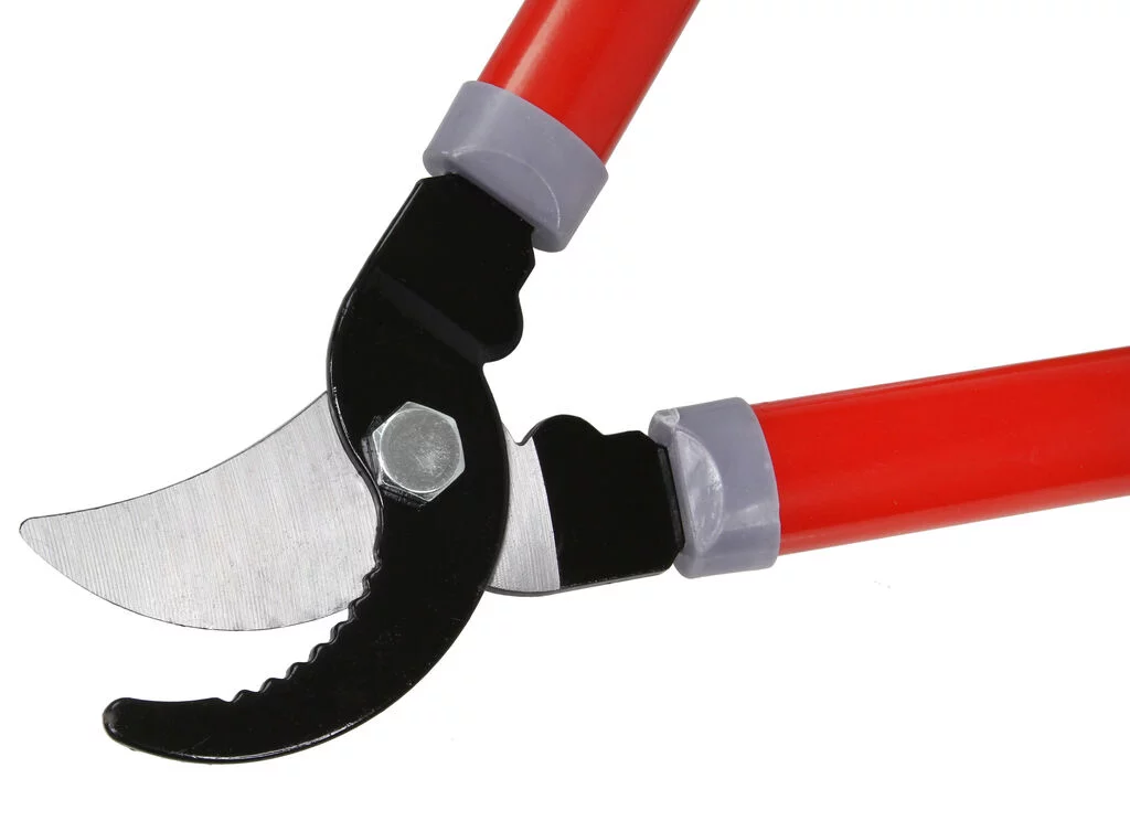 a03c89e69247b401fc91a5e0d4ca4a38