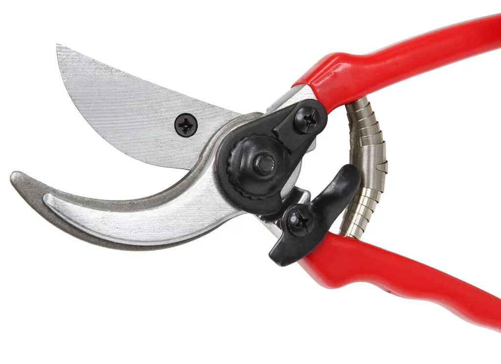 3b2e1ed060d3ae8404326a49dfc19265