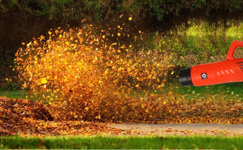 fa66c8daa4920ae571e5b48c650ea0b0