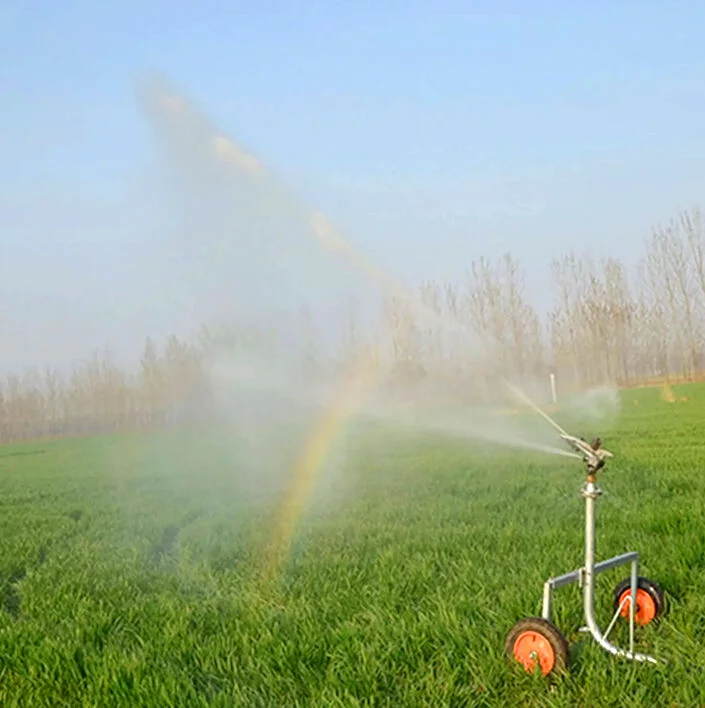 117a902c68359510cc002e402184be67