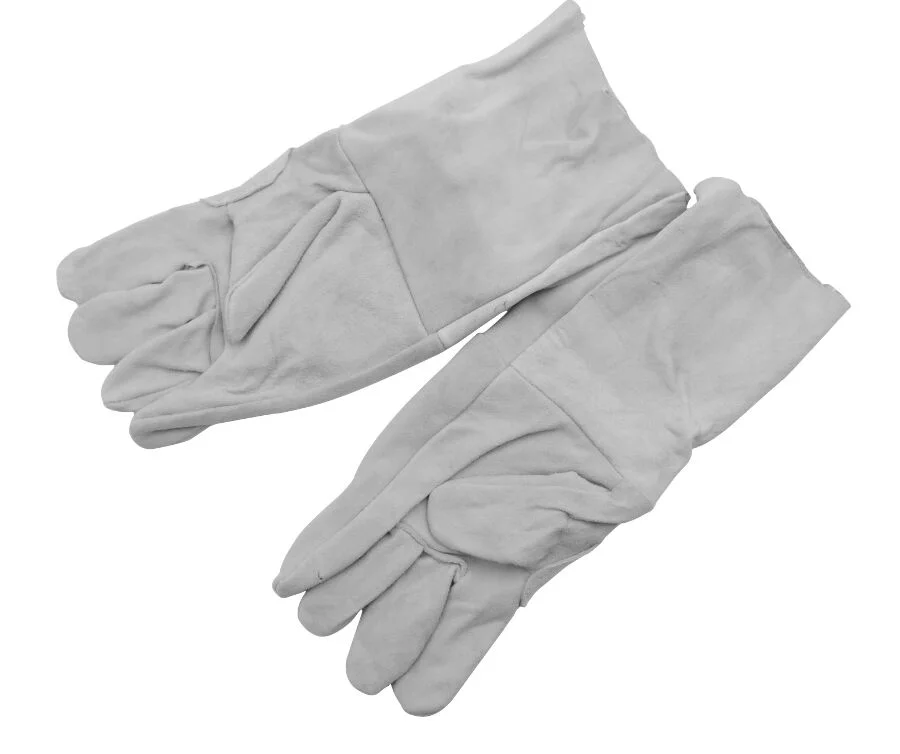 33159e3bf50062e894020fd093bd34e4