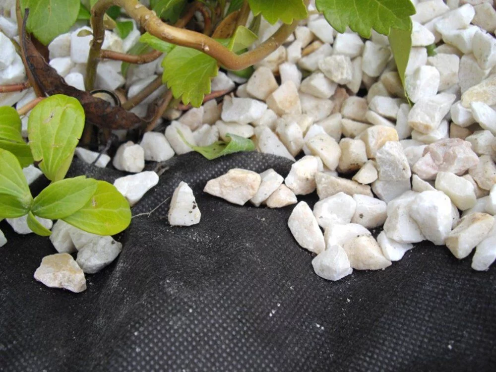 9ccaa035ce9ac613c24b06a0d81db03c