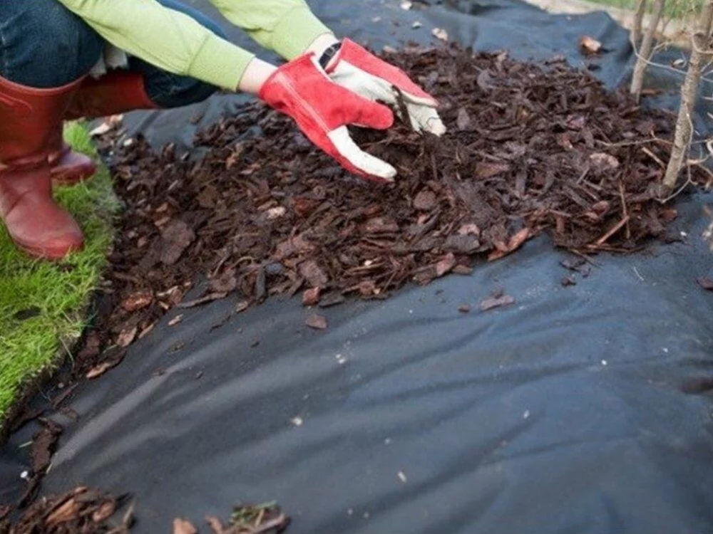 75a6dabb2c6d5272804a6be3f3c2b913