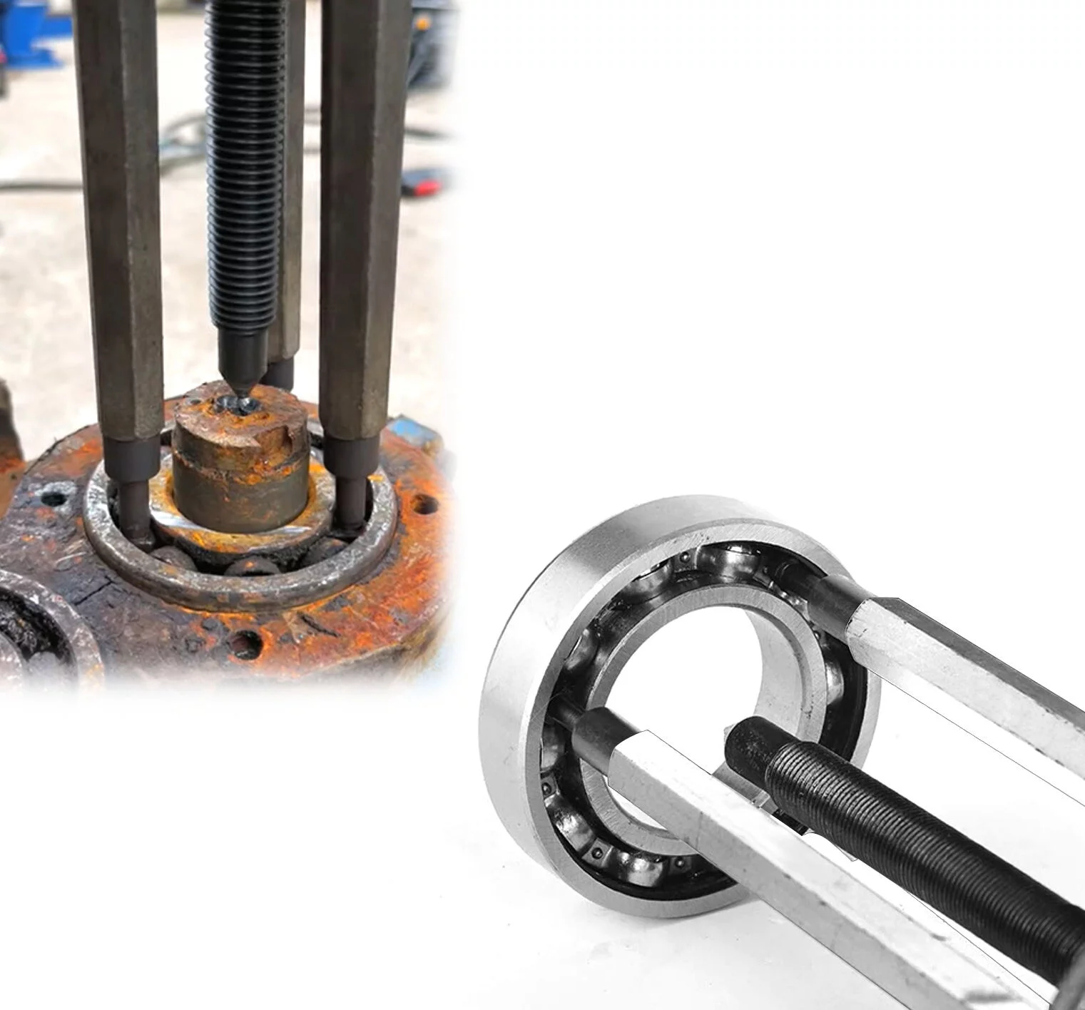 e8f762d05c4ea400ede2b4f5a26389c1