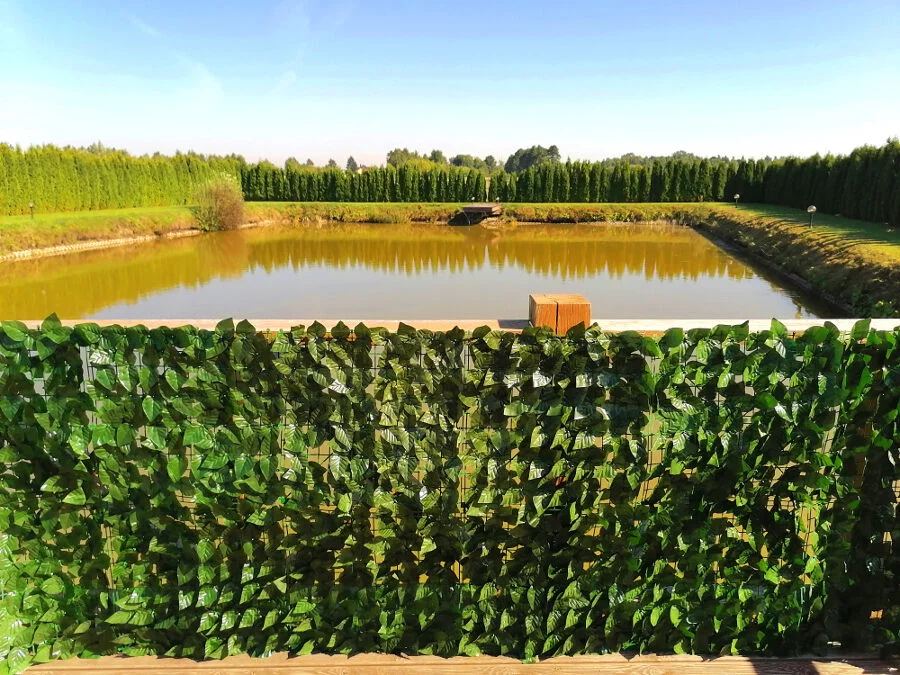 52ce202199a37548db8c7284ea2863a1