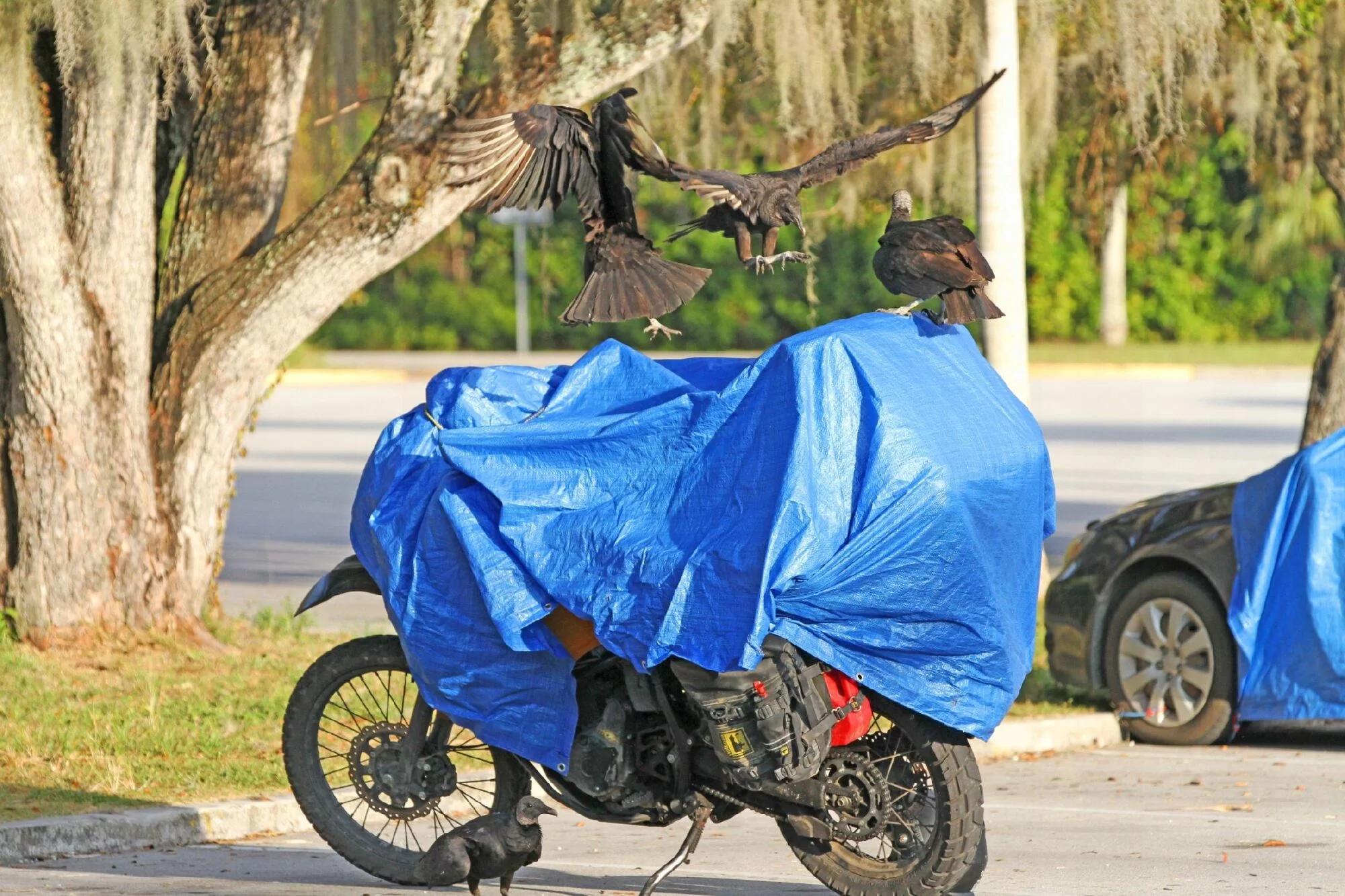 c318e742db3f582b2095dd20adf34add