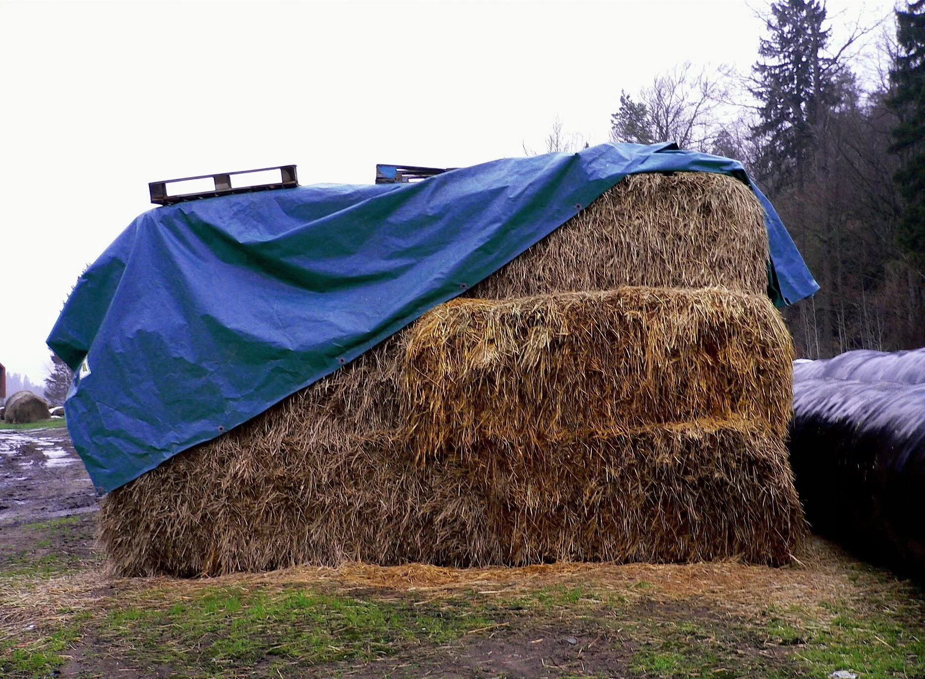 7a302813b4e8a1148a7eab513e9dff99