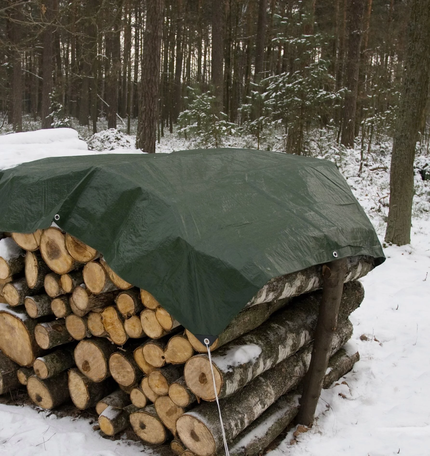 793faf1293d29c0b7d5d4a3f842cef72