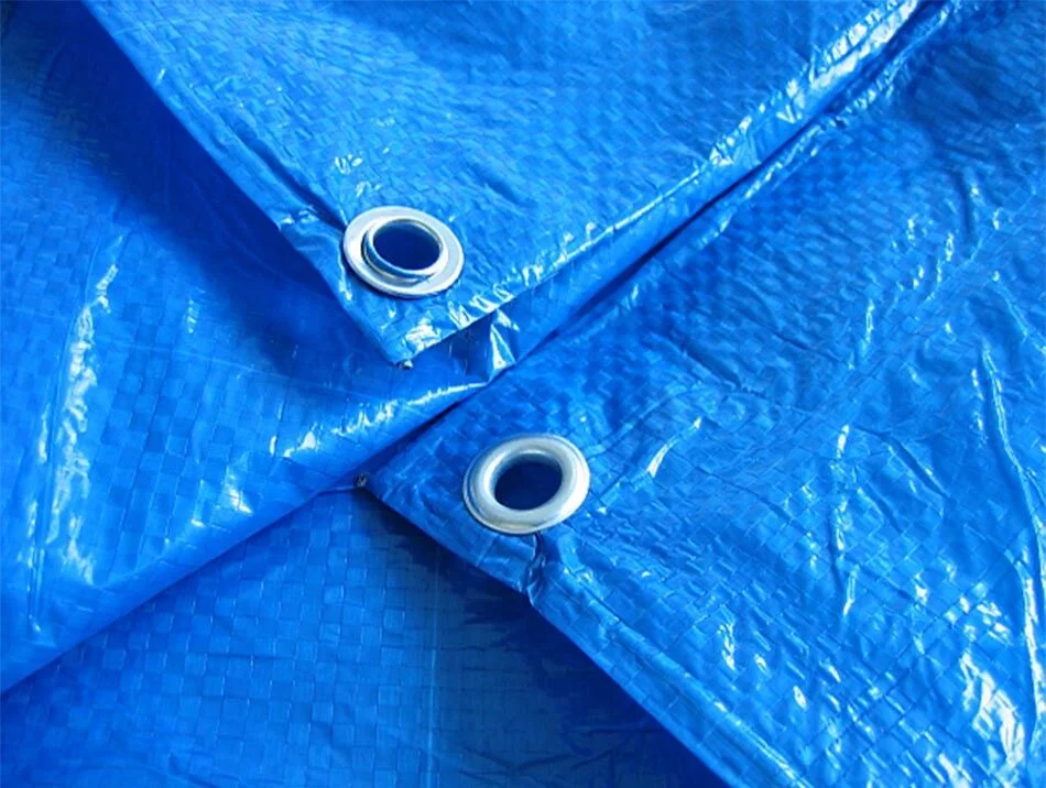 e910aa9cc57429b9c3e1ec3a0e532a0c