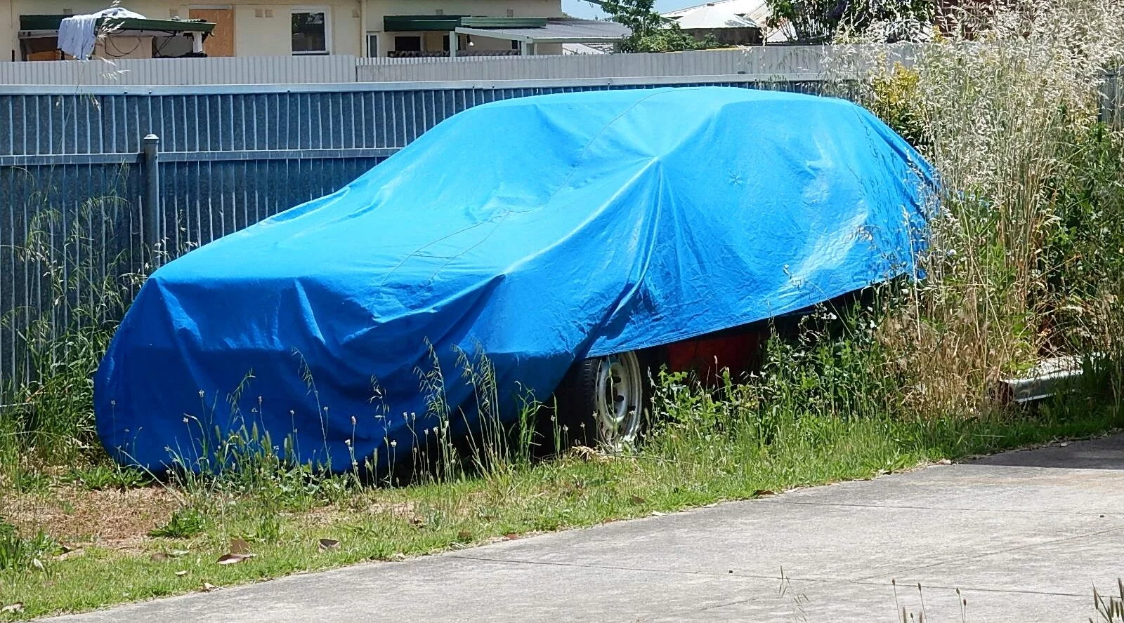 559dd9203df926262f4e0f1baea1f984