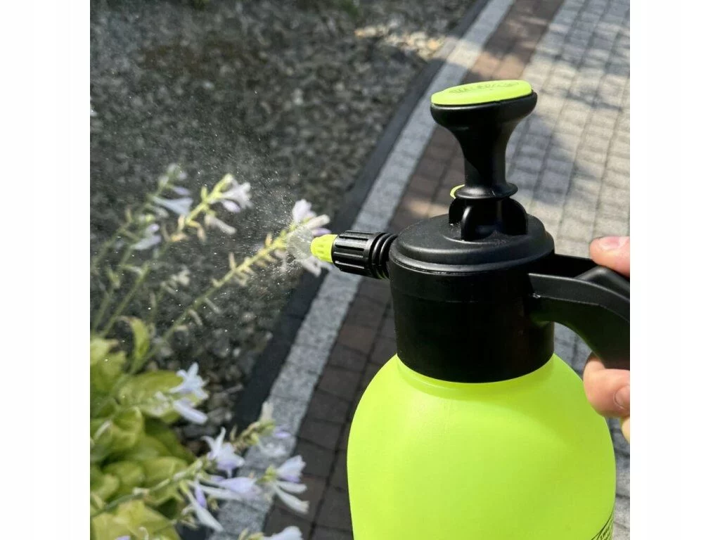 f06a3dbb7afad96fbdb630712d5416d5