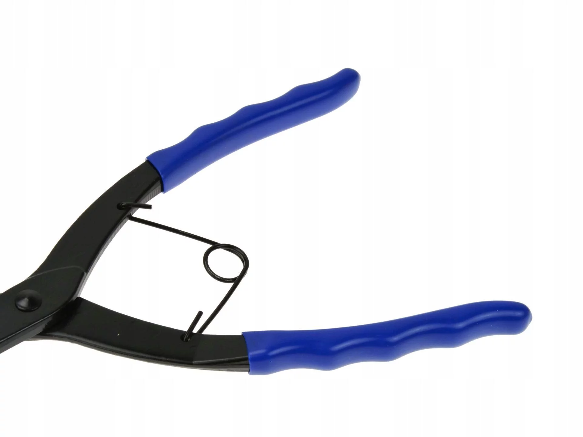 e9812c788e54d637c37a0a691047da56