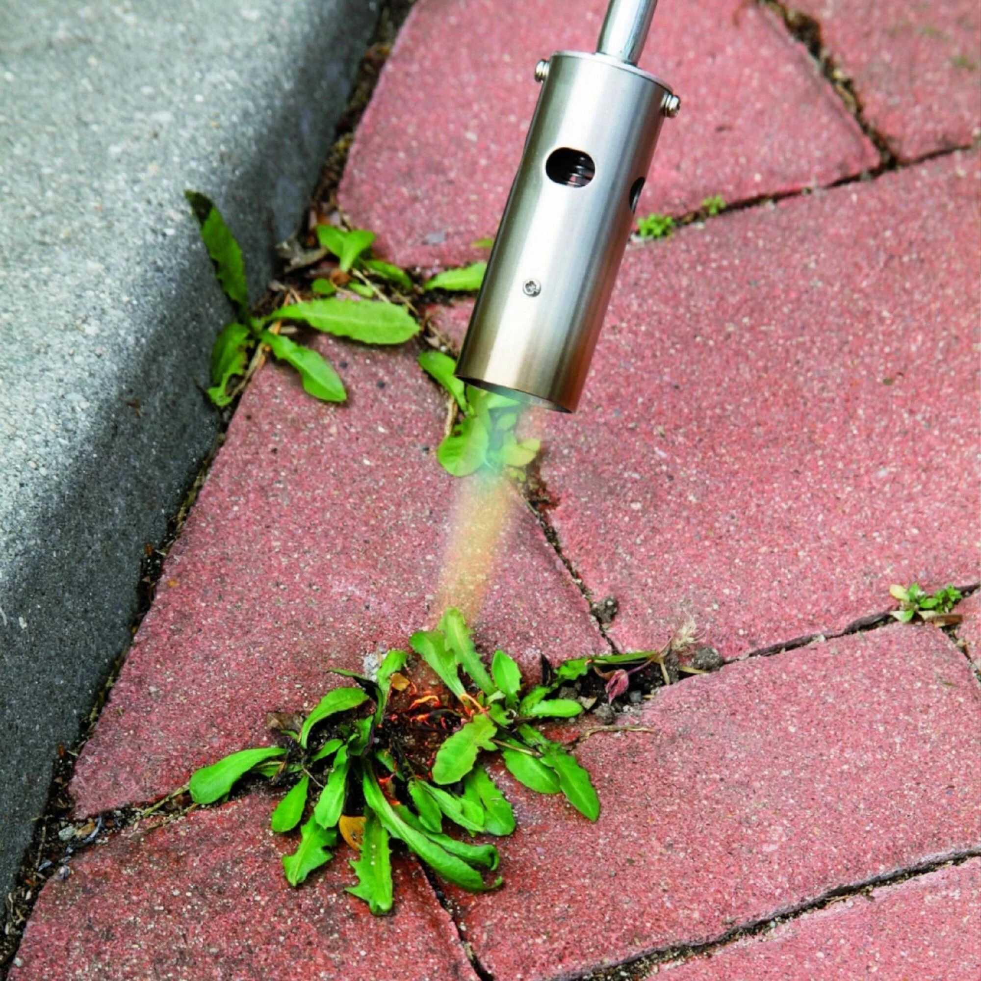 219cea66cc9e95ed3328debcf4078ab9