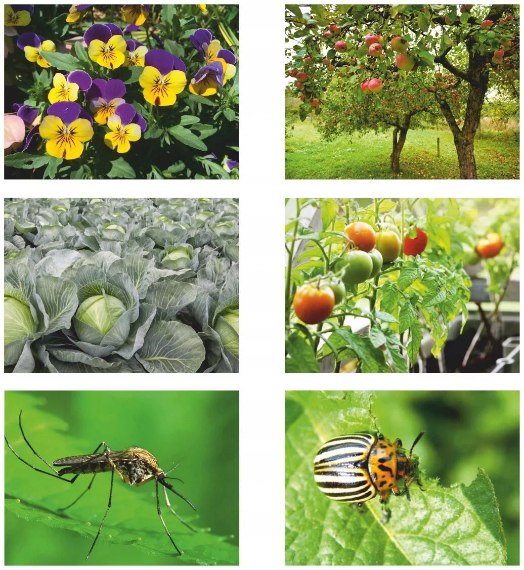 86fe09ee7676a3e4a99d9f9346fa08e6