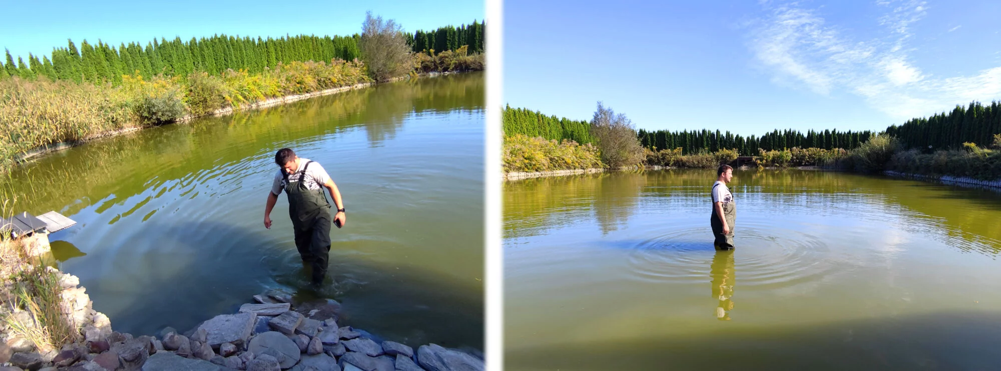 2b05fcd5d021226d5bc239c5beaf11dc