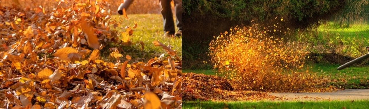 8a78f47b684caf48636a3c3bda229a8e