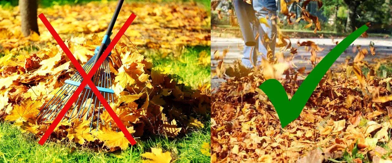 a4f4e8db1df4155310d37eac07f5dd2a