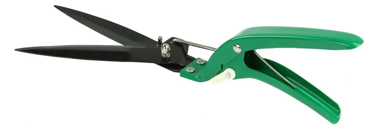 313874757c19ca1a3eaf86c89718899f