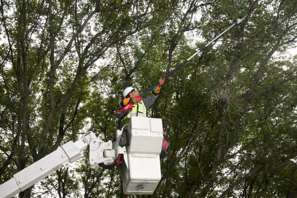 20908cdeb19a4b5023a70177b82ebe5f