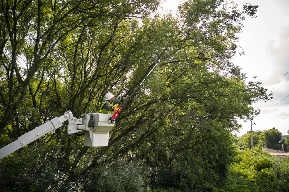 fb614486f4e8ea14fa58edee623e8d48