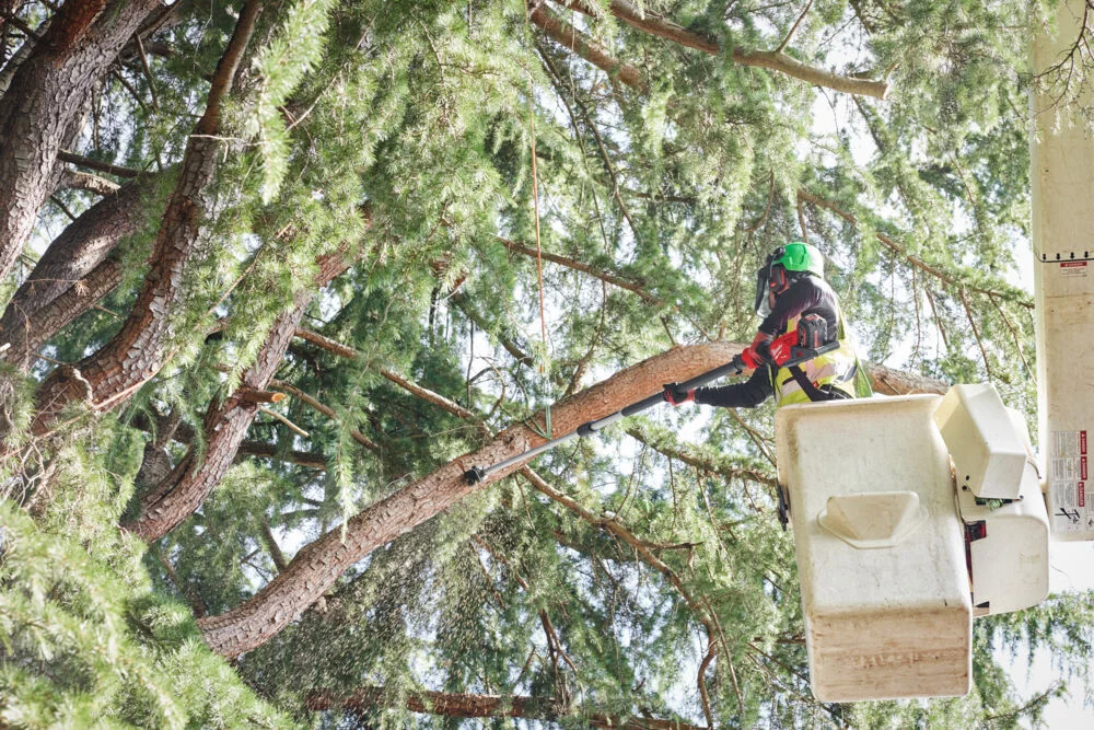 b06ed24908d6db0f6fe40c48a2b6a55e