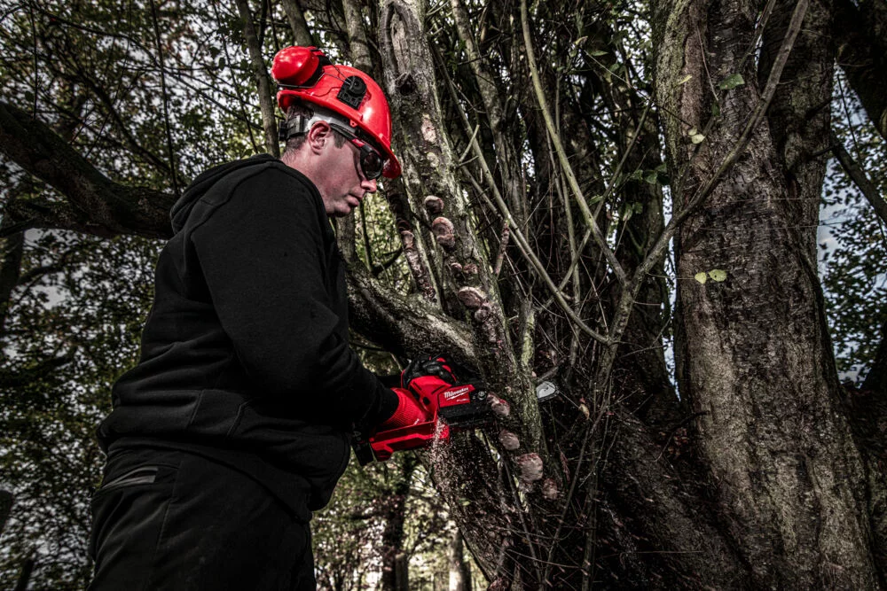 88d56af15b2bb98007bdeb630e7d4241