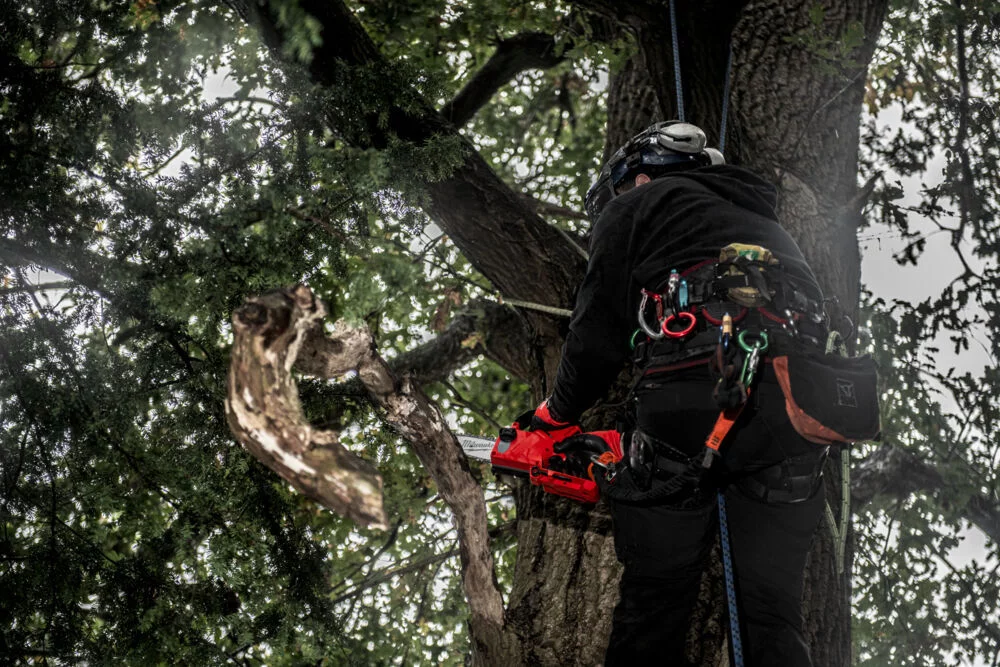 981f06270d9a04b458d0291141181fdb