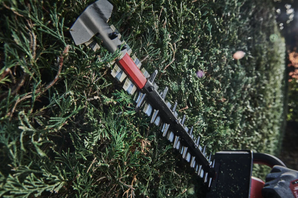 1ad1756edb3040ffd04b70d147171446