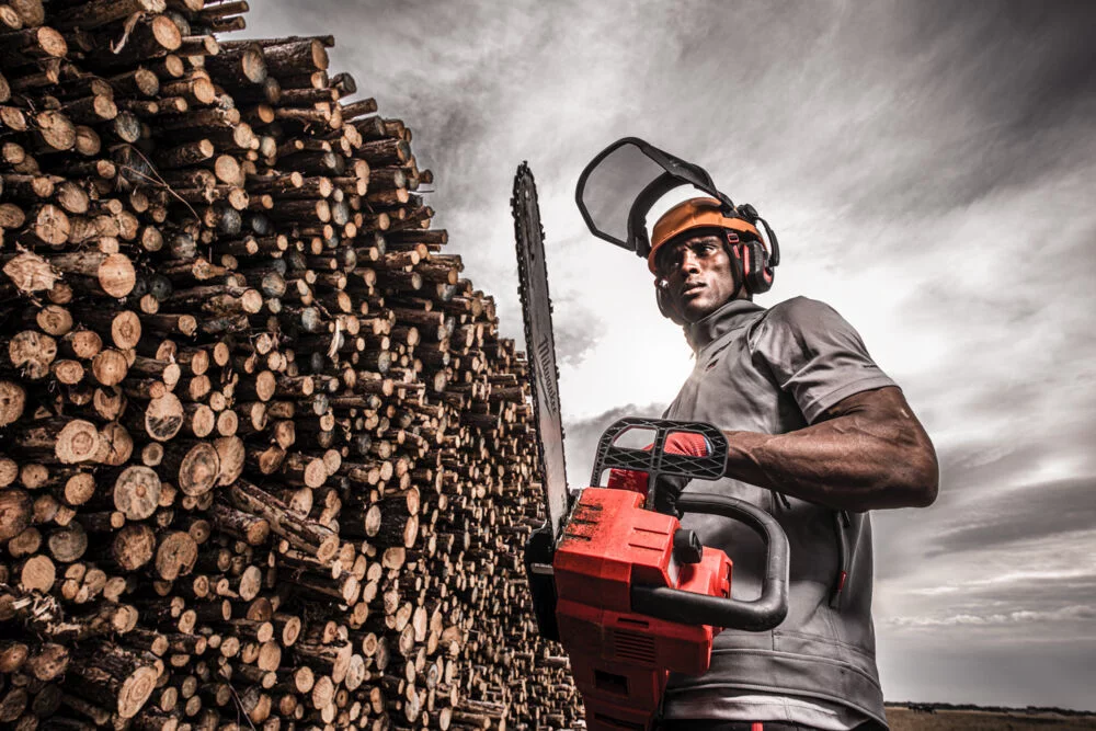 cb2161c510a6a67f798048485898db3a