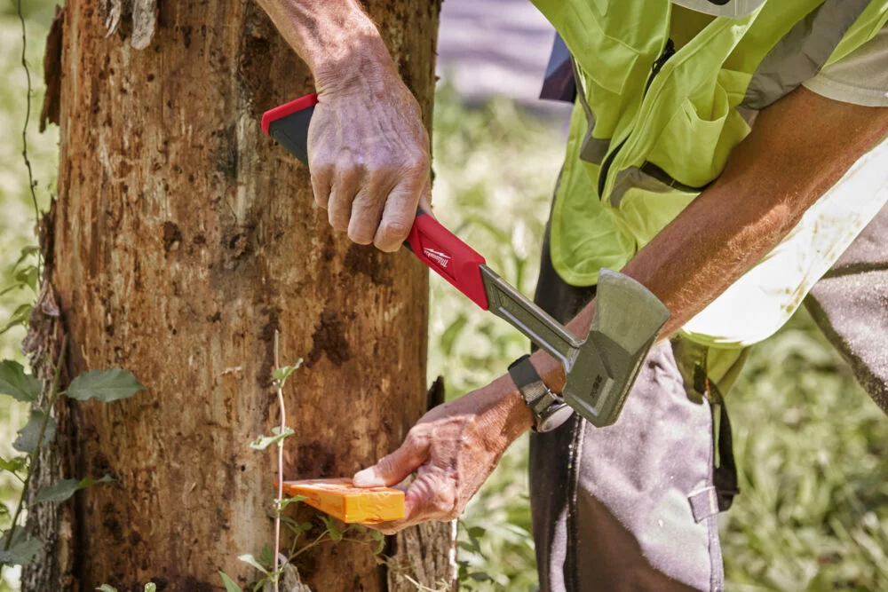 c043df6f5d94338dac085d99e300f243