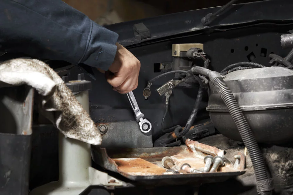 55ae0f65afa49cc997e68943cac664a5