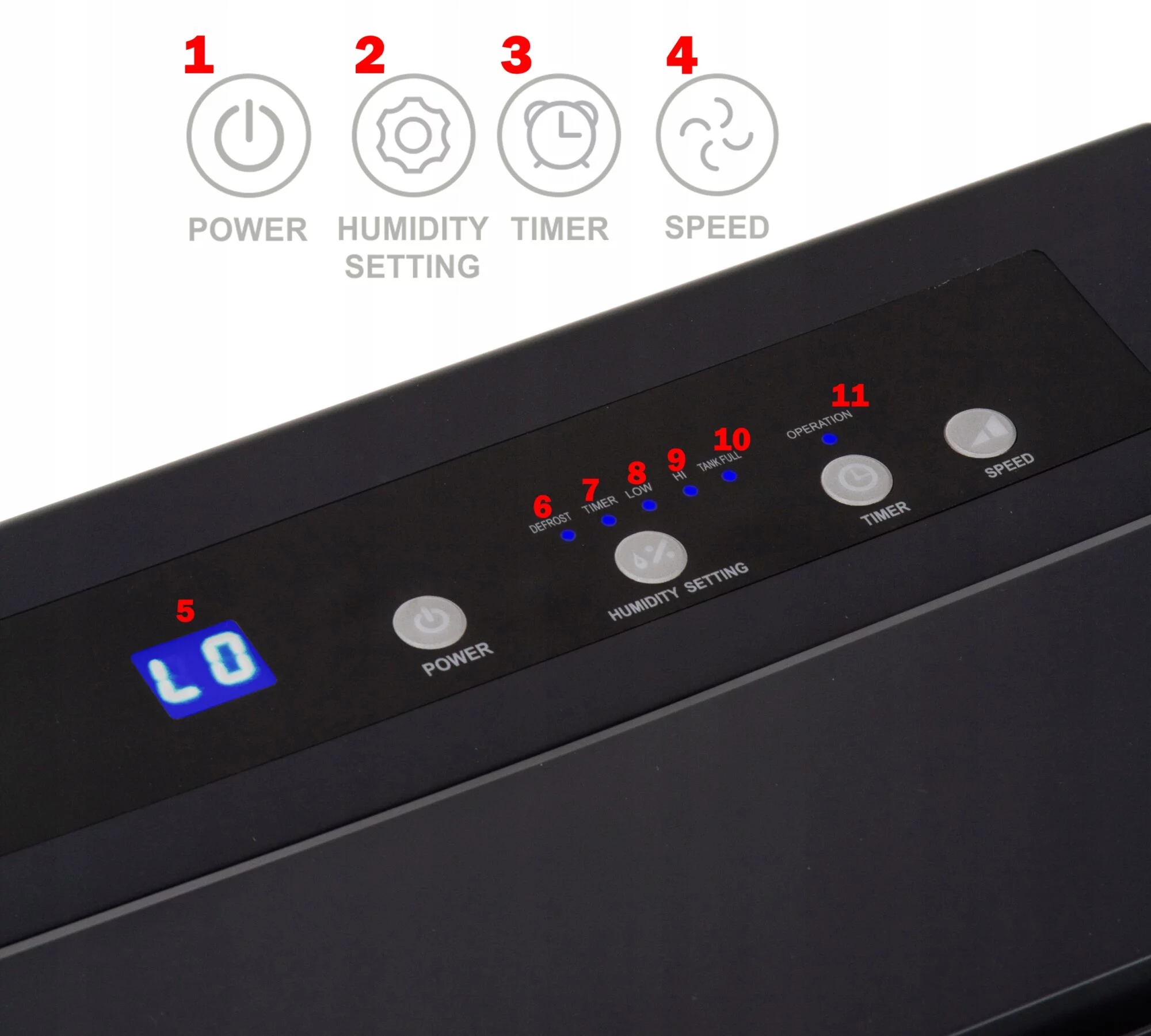 10ed69f8fc9e4fe3bae43436a8185c12