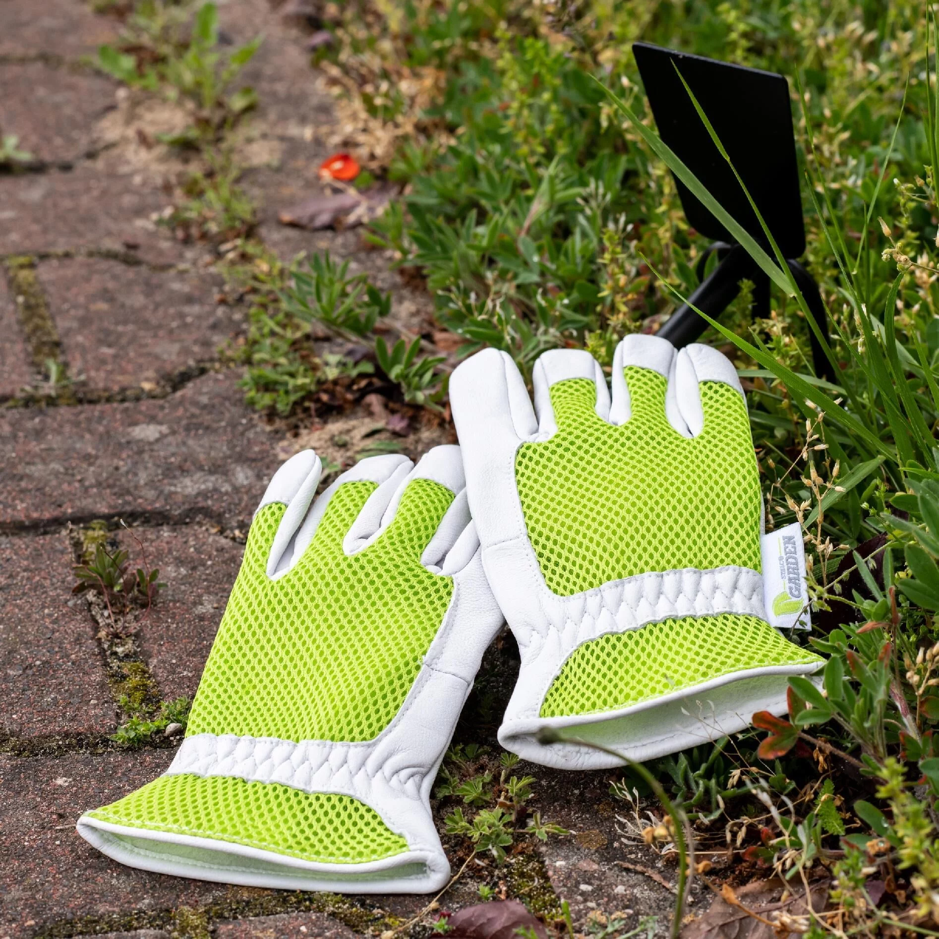 208437f57c359c5b423f9a9fc861a3a9