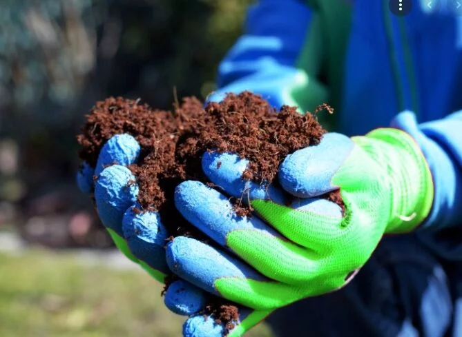 5a7c8da16ad2fd057dcd097a9ba07329