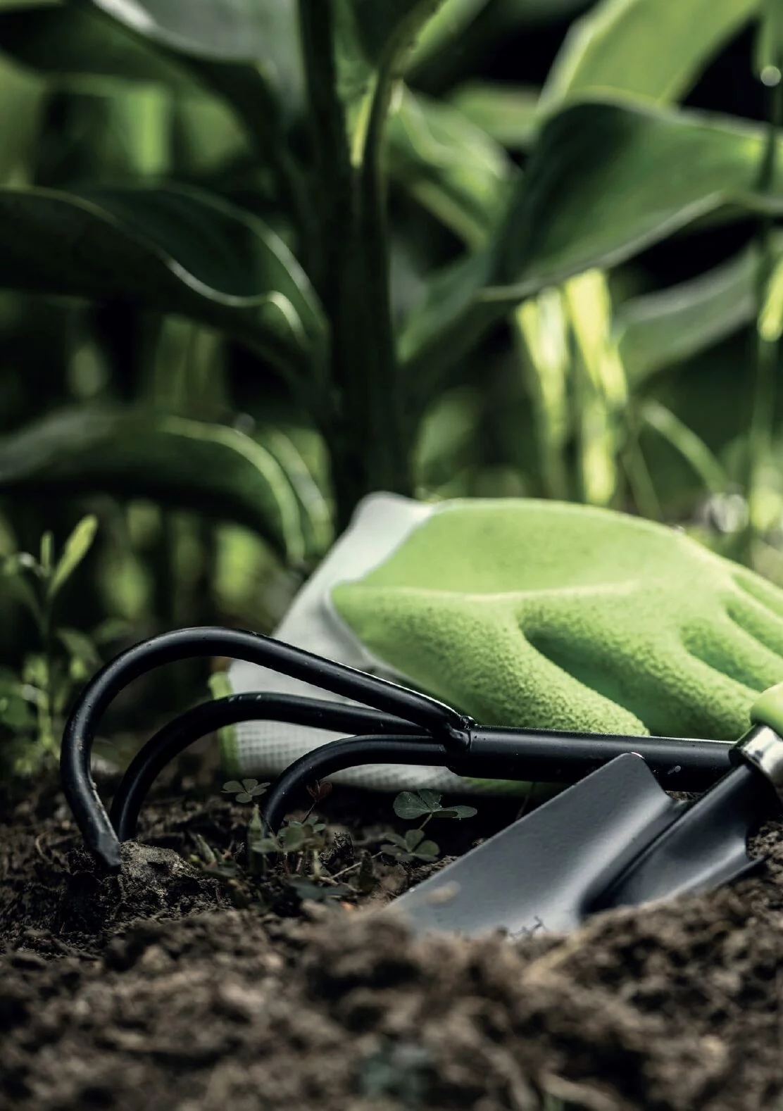 51eb6f61f42aed6df3ec86b7ede95783