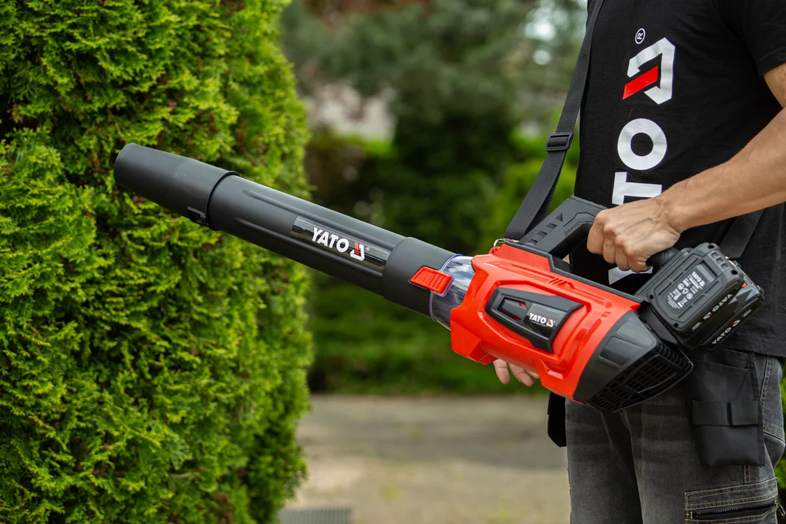 6aff538b5fba9b82bd35e0bfed8a78c6