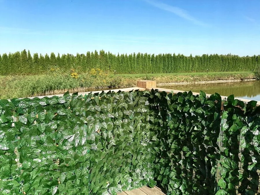 486670344e35ebb547514016867f886d