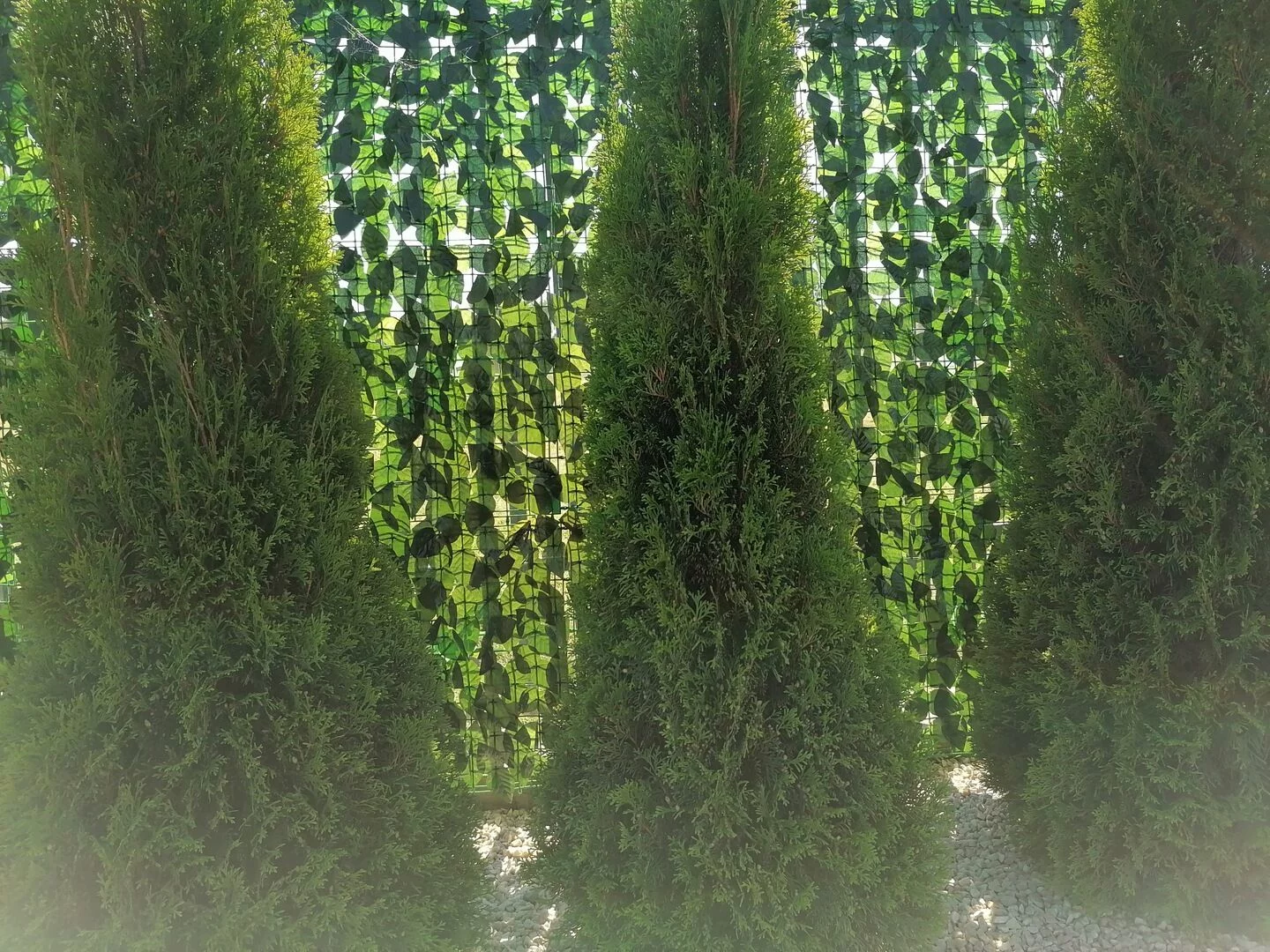 f4082d9fe407fdcf0e5bcbe2a0e80eff