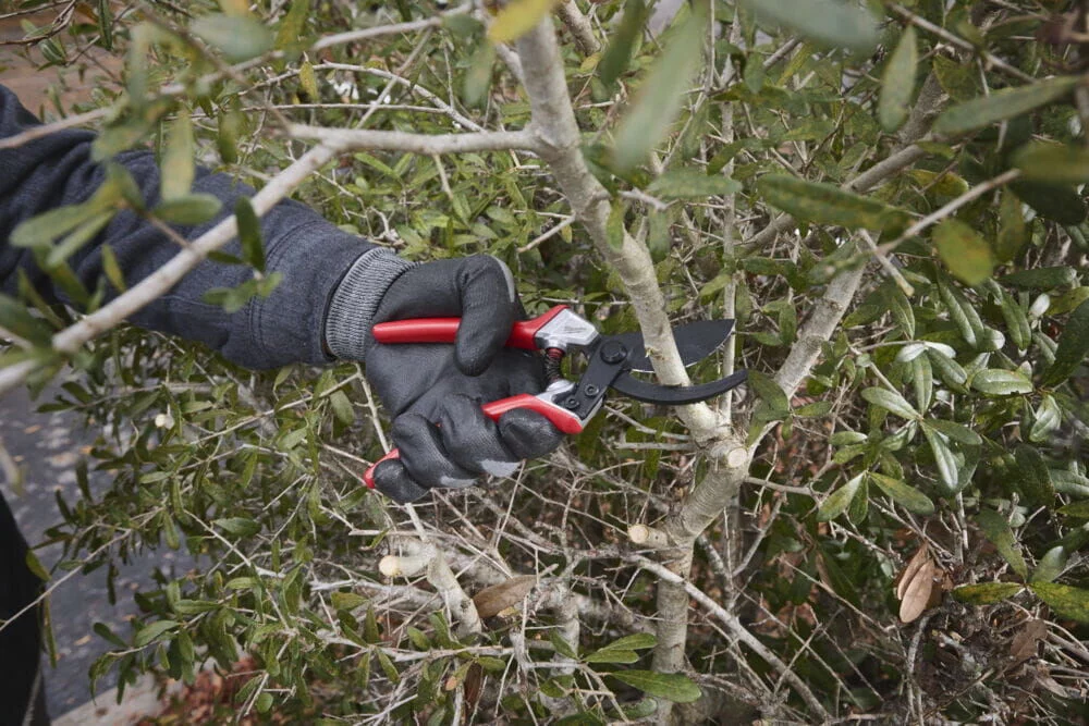 4c716e8b7016b611fea8f56218dc88dc