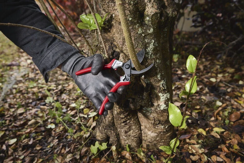 c74152c1118d4044009cea43294feb2d