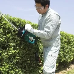 bbd5cc7b55fc30d33c5191f24655f0a4