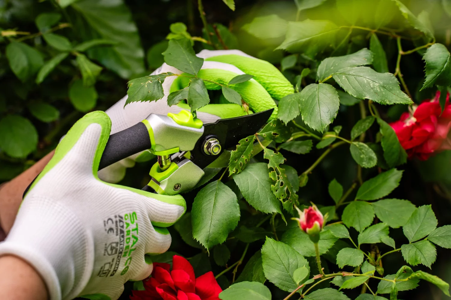 67daefc8f7f4b42444139ee7b1506366