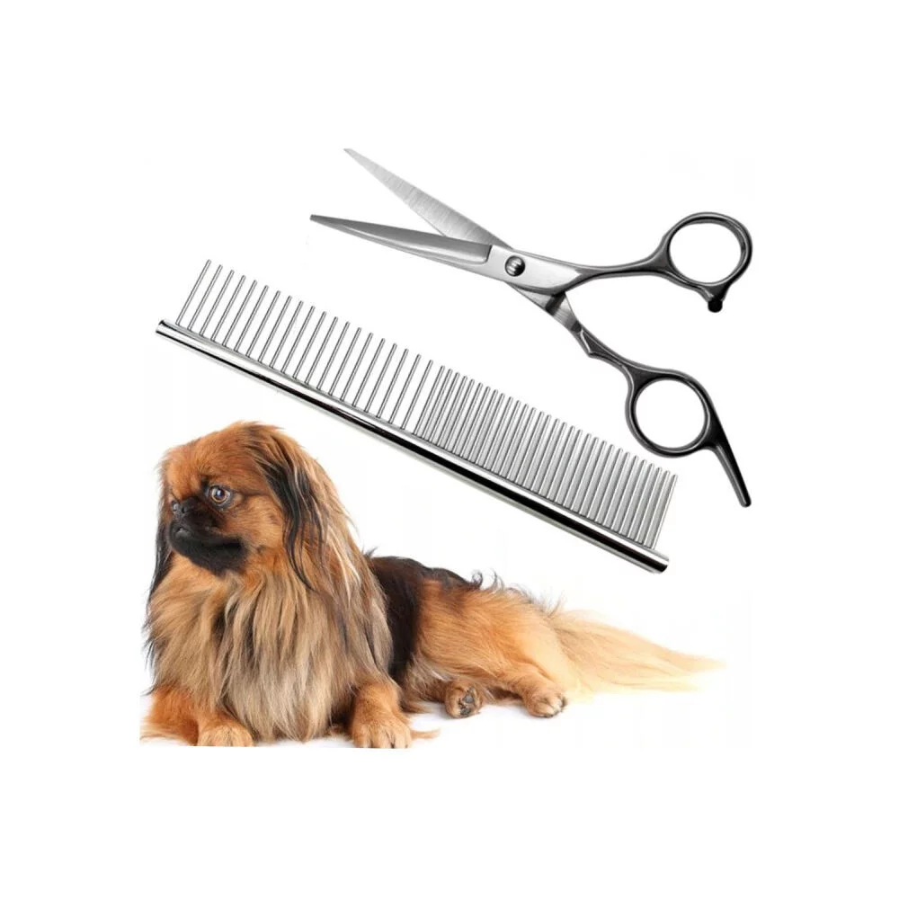 4293acdcab56ee00505436fd65ca7500