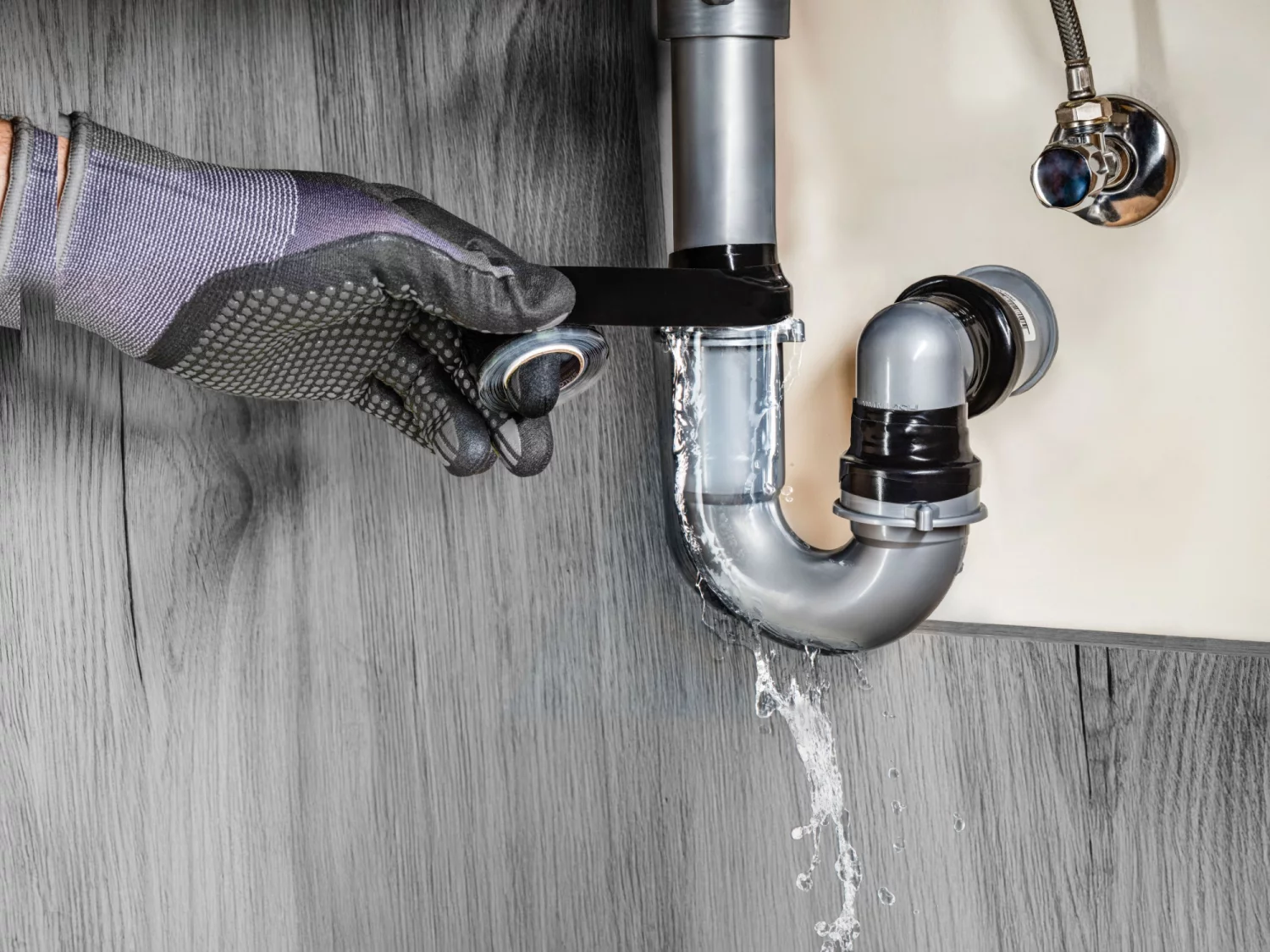 4a85a77a07241cbbfd4492fd1633e642