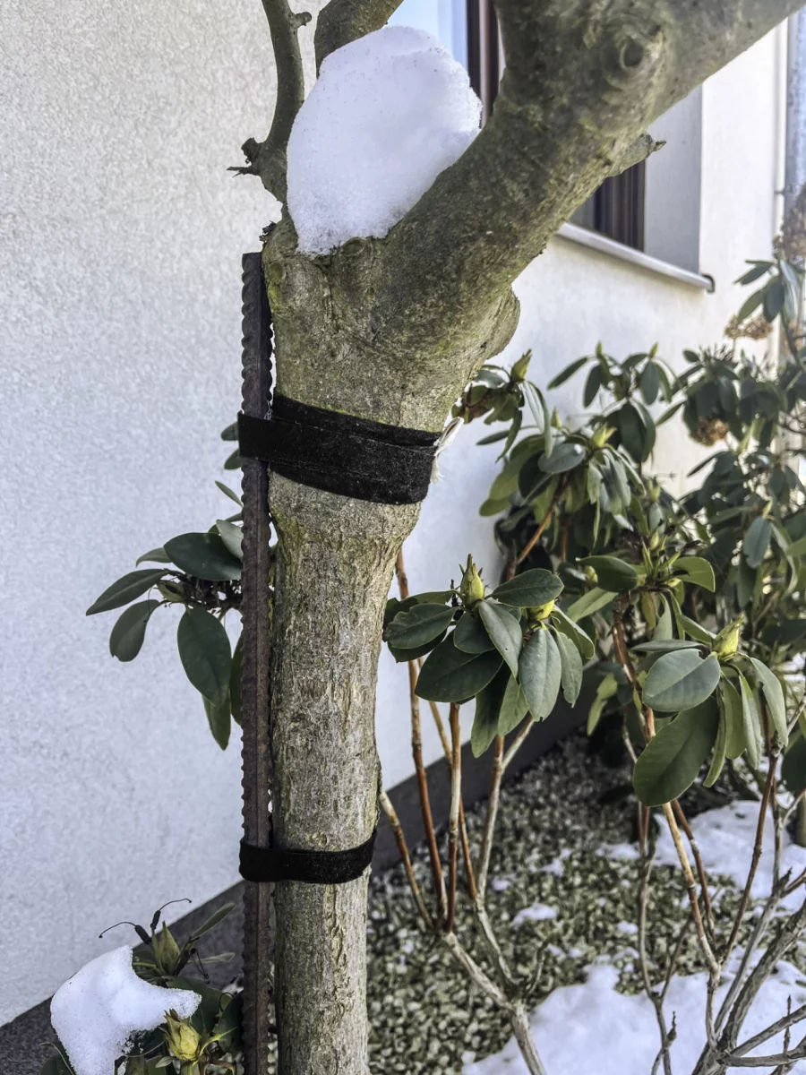 62e839bbb75d45b8e4e2c74c8784d48b