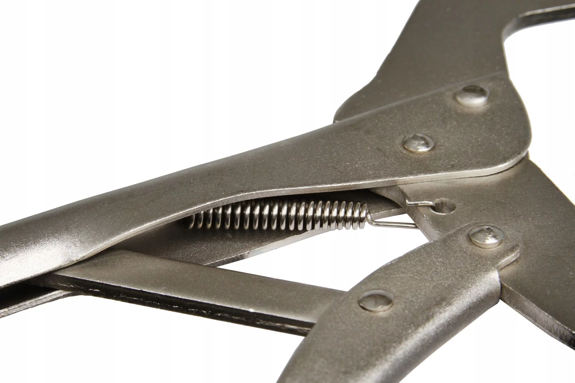 21e9b18d38733acff8d52940c76c7801