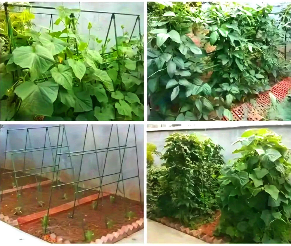 0ee79e2970ee592791fdf28c756e5048