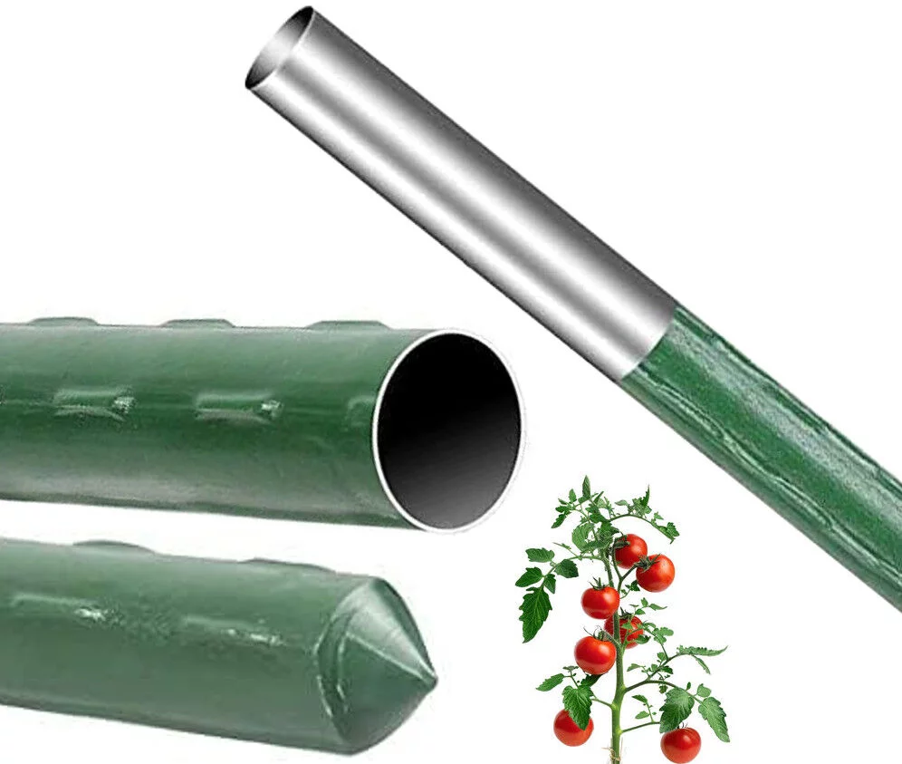 5c925607d7663838fa227c21bcf33e75