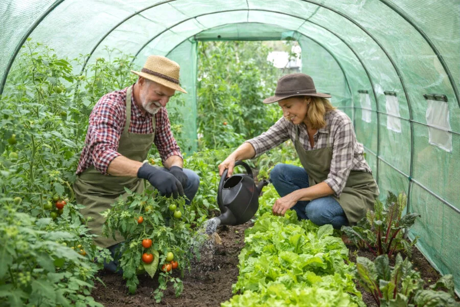 e17e4b5e354c25c56006c7994849cc43